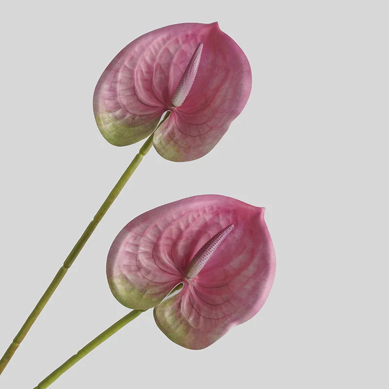 Simulated Flower Living Room H - 3D Printing Simulator review and price